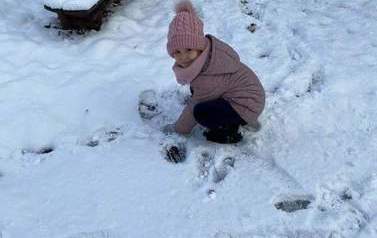 FB_IMG_1610874164041