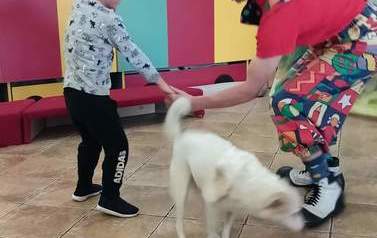 received_811043750067236