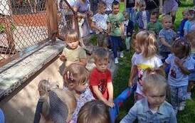 received_801903334502324