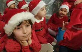received_535595235105551