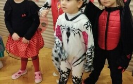 IMG_20240213_100446
