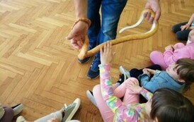 IMG_20240418_102532