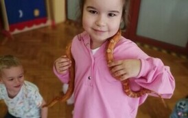 IMG_20240418_102635