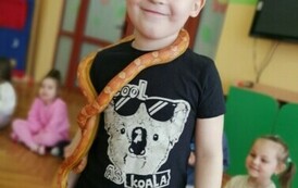 IMG_20240418_102848