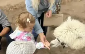 548208033_24588778920774657_7840779832686285_n