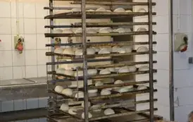 568462981_24903093309343215_4458018813373935825_n
