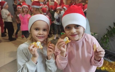Zdjęcie do Wizyta "Mądrych S&oacute;wek" w Urzędzie Miasta. 